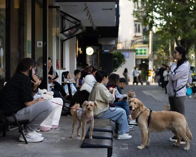 了双11爱上了“老年严选”OG网站这届脆皮年轻人抛弃(图9)