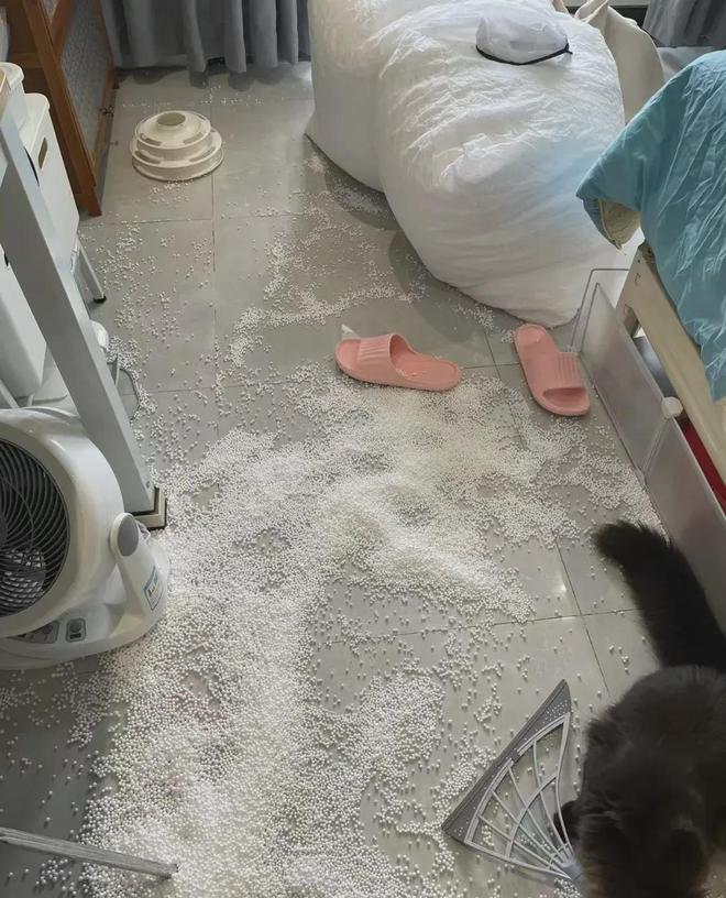 品别再跟风买了真是白花冤枉钱OG真人半年入住经验这4样物(图3)