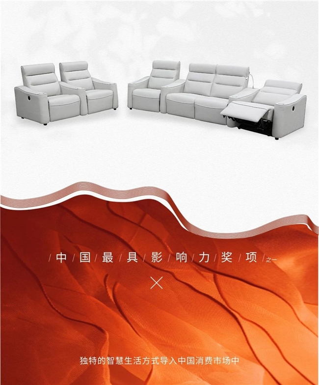 ER影院沙发斩获2024年红棉设计奖OG真人游戏御虎ROYAL TIG(图4)
