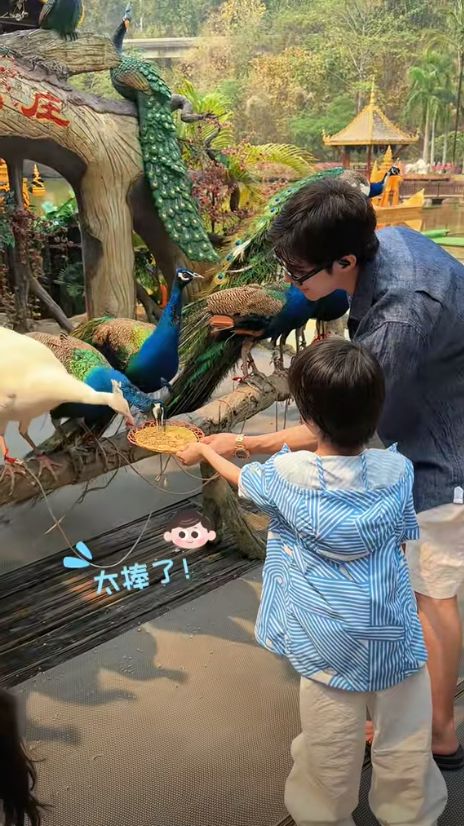迪娜穿泳装美呆了4岁女儿颜值真的高OG网站姜潮一家人在云南旅游！麦(图10)